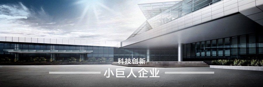 科技創(chuàng)新小巨人企業(yè)